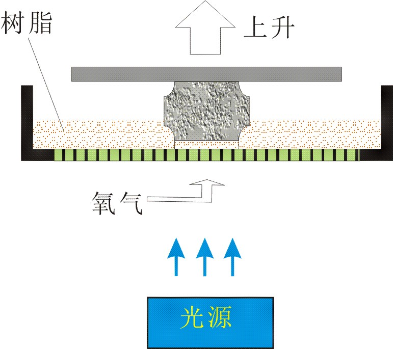 3D打印出的物體
