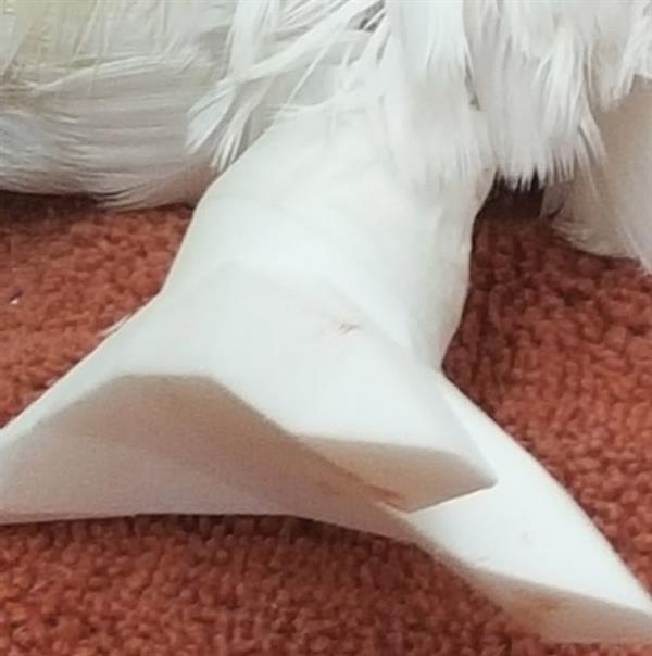 ӢW^bׂ3Dӡļ֫