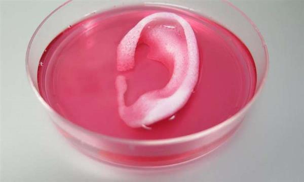3DӡǺͶܛ