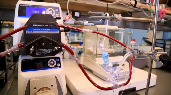 科學家使用3D打印技術開發人工腎臟 科學家使用3D打印技術開發人工腎臟