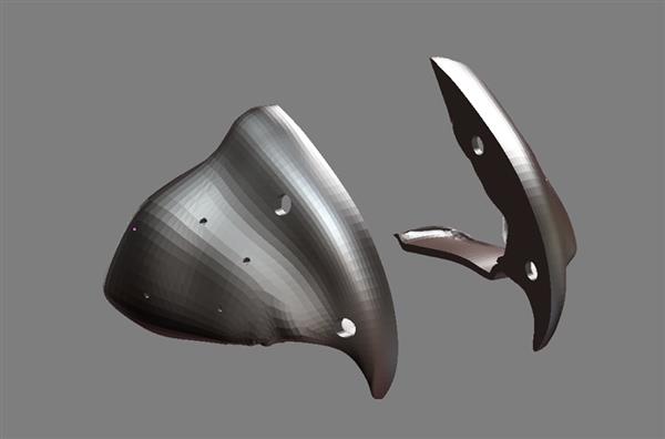 愛心人士為巴西鸚鵡3D打印鈦金屬喙 愛心人士為巴西鸚鵡3D打印鈦金屬喙