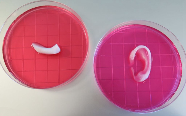 3Dӡg ׌bh 