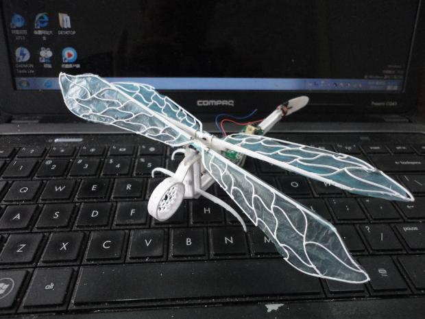 3DӡC