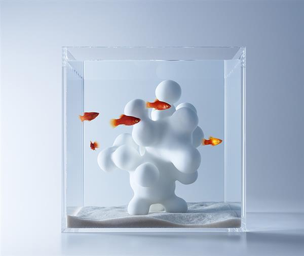 ˇg(sh)3DӡAļˮ^