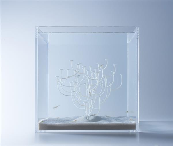 ˇg(sh)3DӡAļˮ^