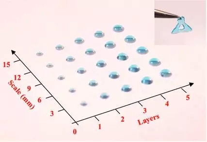 աt3DӡϴPc