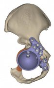<b>tԺcMaterialise3DӡyPֲ׌߻֏</b>