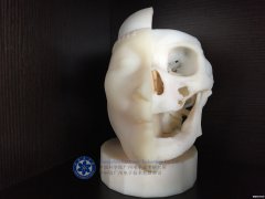 <b>Wordtׂ3DӡtӼ</b>