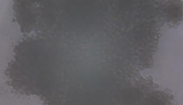 3Dӡ