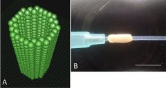 <b>ձоTɹ3Dӡ(do)׌(jng)</b>