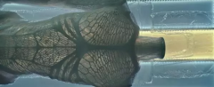 <b>ӰΡ3Dӡg(sh)취ɫ</b>