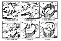 S輼ĝIEbеđ