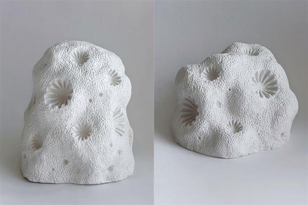 大自然愛好者使用3D打印珊瑚骨骼可以拯救珊瑚礁 大自然愛好者使用3D打印珊瑚骨骼可以拯救珊瑚礁