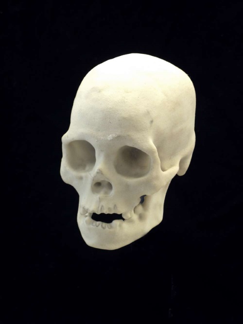 3Dӡؽ1200ǰŮ^
