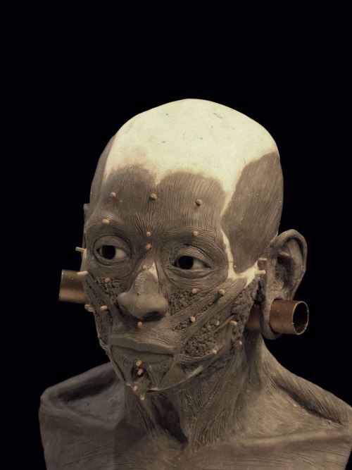 3Dӡؽ1200ǰŮ^
