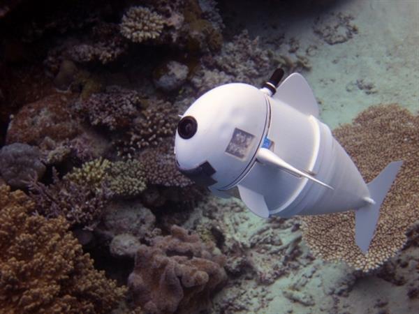 麻省理工開發(fā)3D打印軟件機器人魚“SoFi”觀測水下世界 麻省理工開發(fā)3D打印軟件機器人魚“SoFi”觀測水下世界