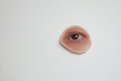 3D輼g(sh)ʿ3Dӡļ