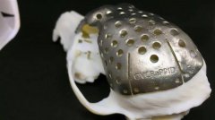 <b>ʡоˆT3DӡBYĹ</b>