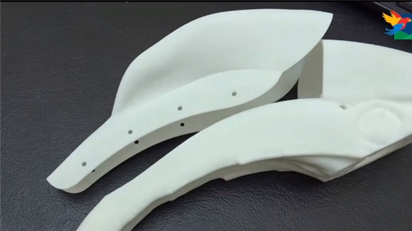 大犀鳥在癌癥后得到3D打印的假肢 大犀鳥在癌癥后得到3D打印的假肢