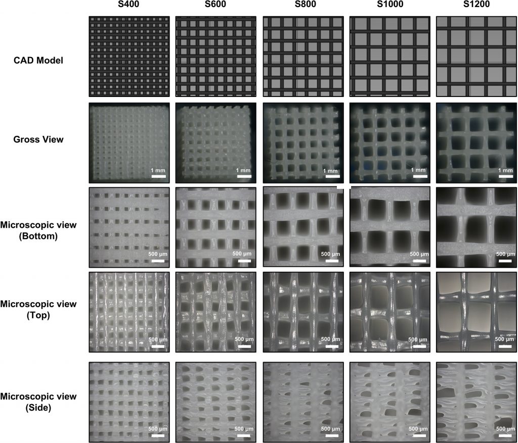 耳廓重建:荷蘭研究人員3D打印軟骨評估制作耳朵新方法 耳廓重建:荷蘭研究人員3D打印軟骨評估制作耳朵新方法
