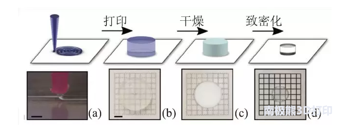 3Dӡϼ䑪ø 