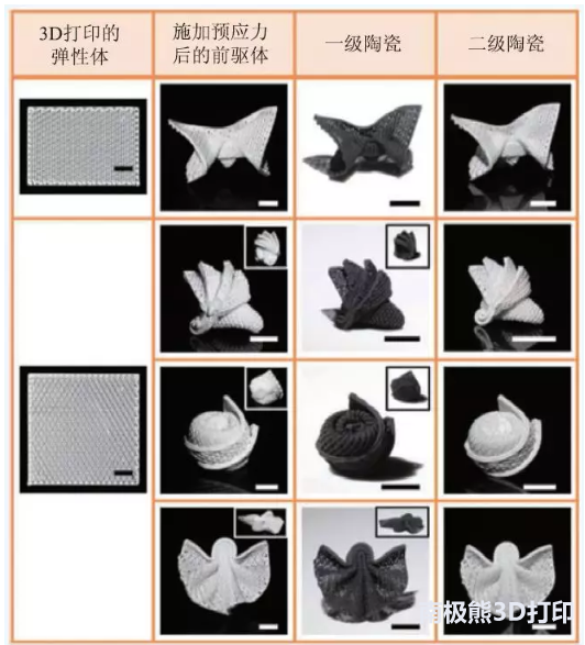 3Dӡϼ䑪ø 
