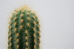 <b>3Dӡ¶ˮռˮɳĮ՚</b>