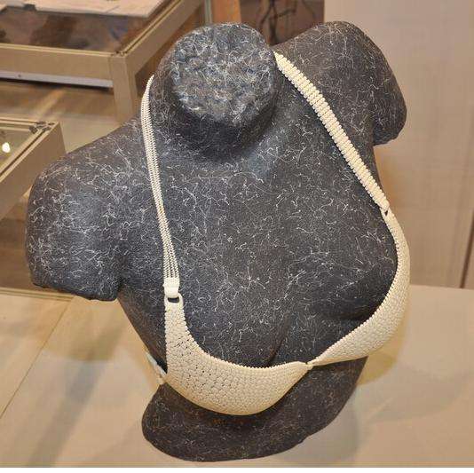 在實驗室中使用3D打印的四種創新方法! 在實驗室中使用3D打印的四種創新方法!