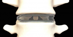 <b>tֲϵһ3DӡAries L׵wgں</b>