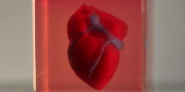 科學家使用患者的細胞3D打印一顆微型的活體心臟 科學家使用患者的細胞3D打印一顆微型的活體心臟