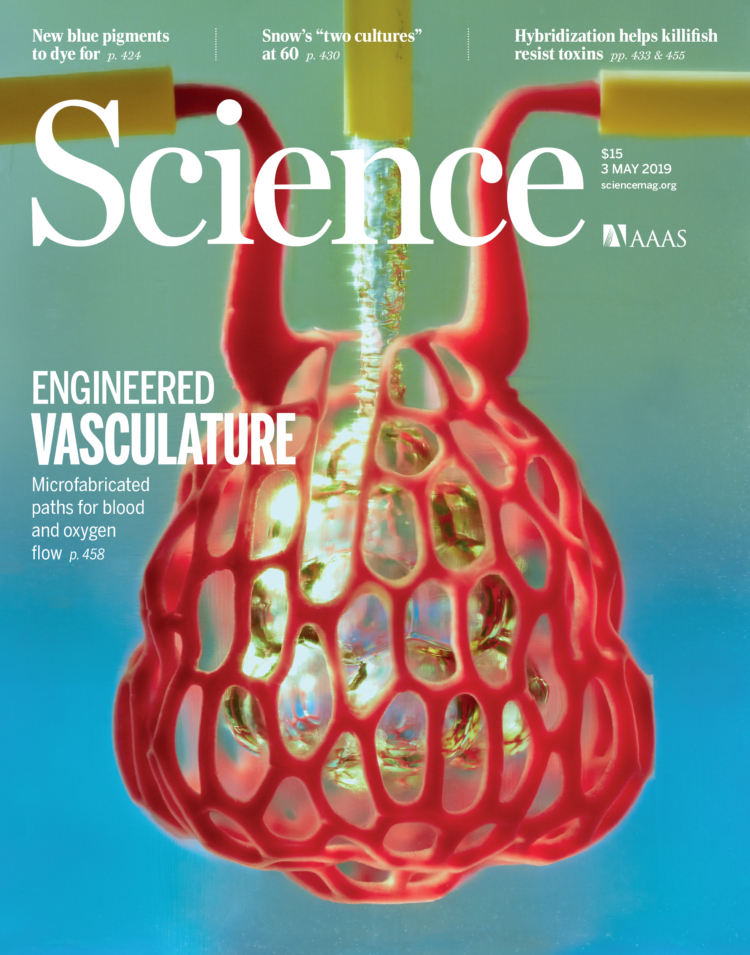 Nervous System與萊斯大學研究人員合作3D打印血管網絡 Nervous System與萊斯大學研究人員合作3D打印血管網絡