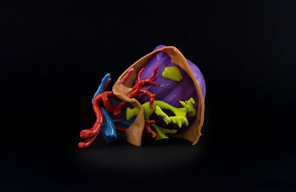 βίMaterialise β˾Fluidda ͶY250fWԪ