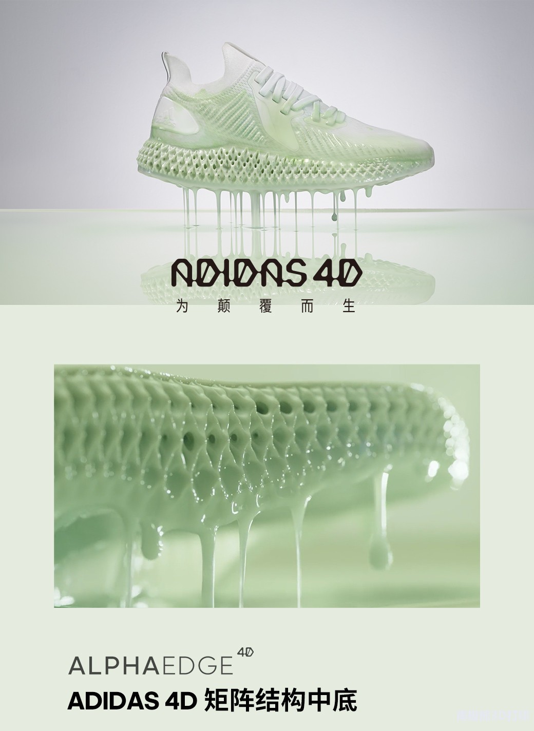 ALPHAEDGE 4D 運動鞋 ALPHAEDGE 4D 運動鞋