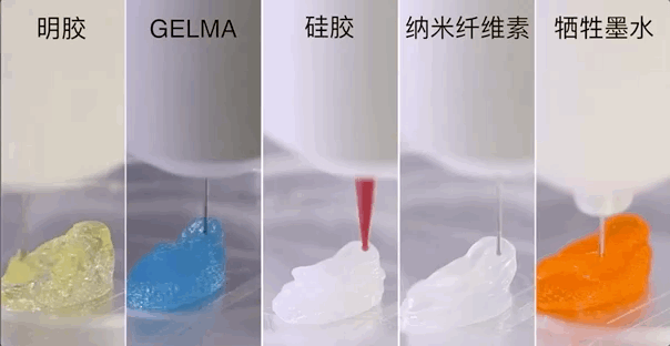 ӡf(wn)ʽl(f)BioMaker3DӡC(j)