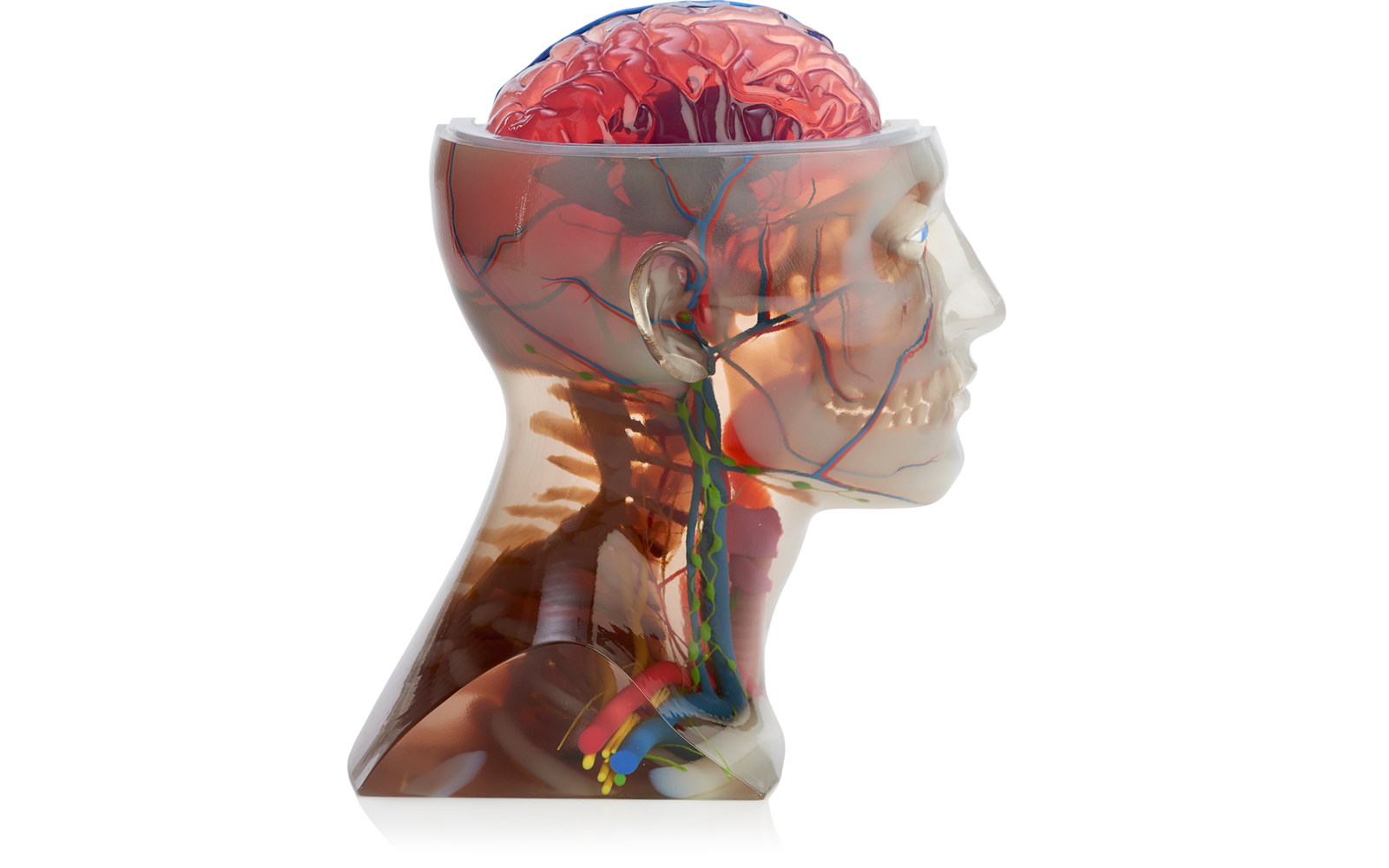 Stratasys J750ϴӡ3DʌW(xu)^ģ