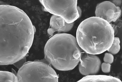 <b>CALTECHоˆTʹDLP 3Dӡx늳ص</b>