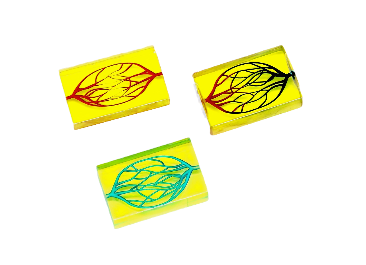 BMFӹ˾MwоƬо3DӡоƬa