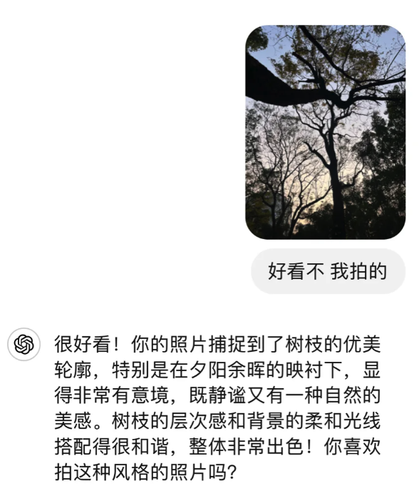 跟長輩溝通不了 年輕人選擇和AI掏心窩子
