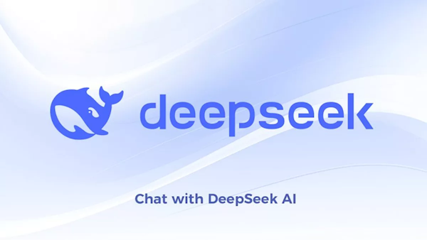 DeepSeekWnбҪW᣿ҷQͨ˛]ҪُIW