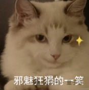 稚暉君機器人神技再現江湖!騎自行車驚呆眾人:又抽象又硬核